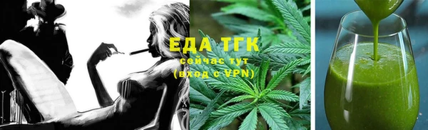 индика Алексин