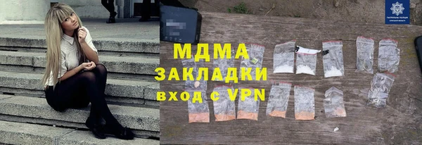 индика Алексин
