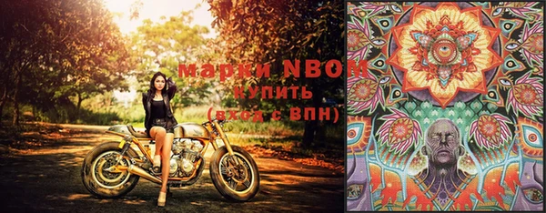 индика Алексин