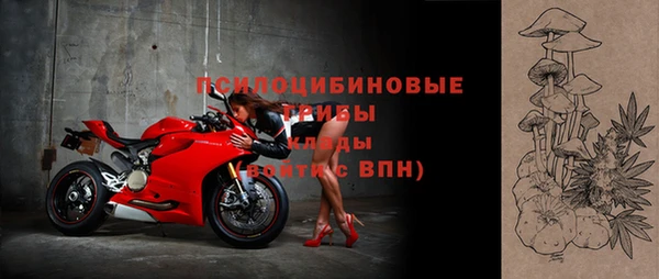 индика Алексин