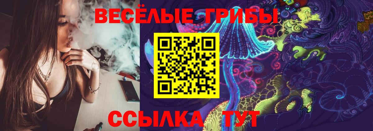 Псилоцибиновые грибы мицелий Ульяновск