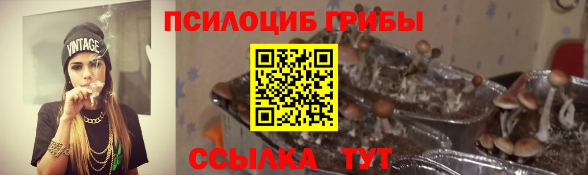Галлюциногенные грибы ЛСД  Вход с VPN  Псилоцибиновые грибы Cubensis  Ульяновск 